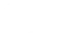 ZSW-Logo